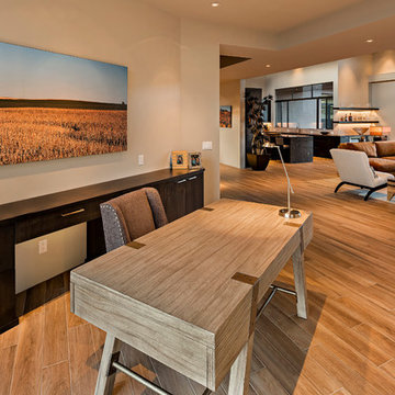 Terry Kilbane / Desert Modern / Saguaro Forest / Desert Mountain