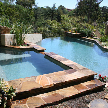 Pools & Spas