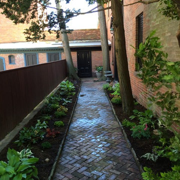 Newly planted perennial shade garden