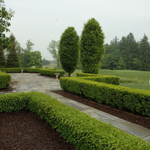 Exterior Ideas