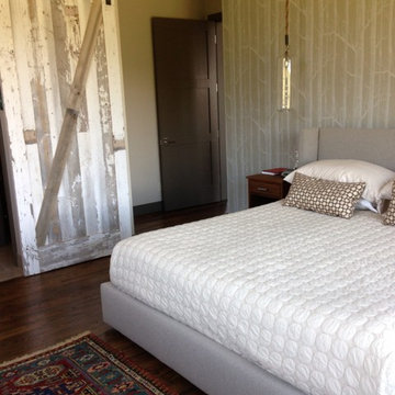 Bedroom Closet Barn Door