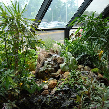 Interior Landscape