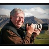Tom Galliens billede