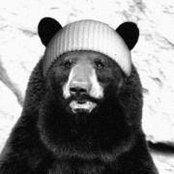 Foto de Chieftain Black Bear