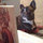 guinnessthefrenchie