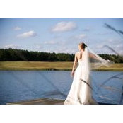 Lanier McRee's photo