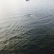 Luna Bell's photo
