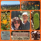 Wendy Sweet's photo