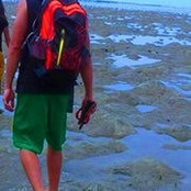 Roget Ansit's photo
