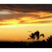 Nora Sanders's photo