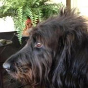 Jessica Fleming's photo