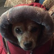Mary LeFever's photo