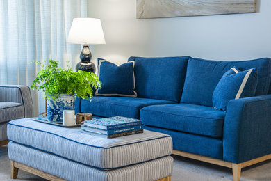 Takapuna Apartment