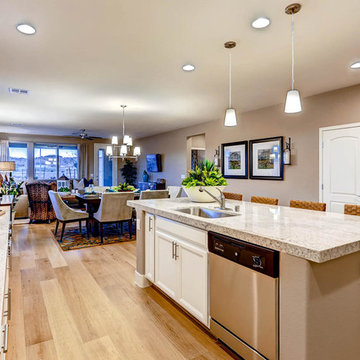 Warmington Residential: Desert Ridge Flagstaff Plan 3 - Kitchen