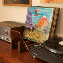 Vinyl storage