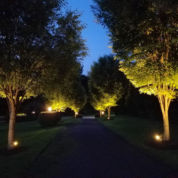 Cohesion, Contrast and Control Captures this Corridor of Light