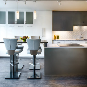 Sleek Contemporary Kitchen