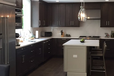 Trendy kitchen photo in Chicago