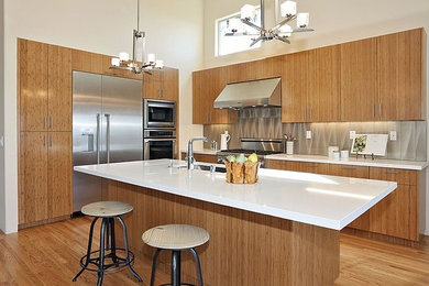 Kitchen - contemporary kitchen idea in San Francisco