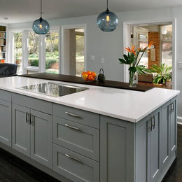 https://www.houzz.com/hznb/photos/contemporary-kitchen-cabinets-design-remodel-contemporary-kitchen-phvw-vp~7630103