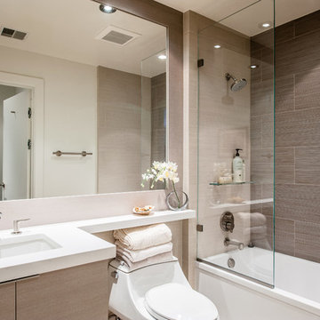 McLean, VA Contemporary Home