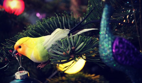 Sådan pynter du juletræet med årets største trends