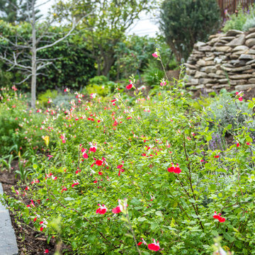 Hillside Design - Pacific Palisades