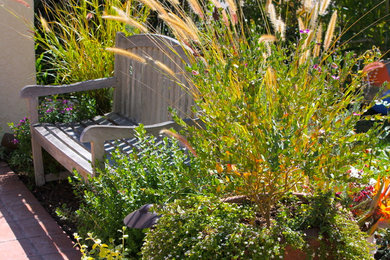 This is an example of a mediterranean landscaping in Orange County.