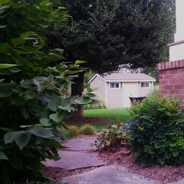 Arlington Back yard