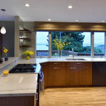 West Seattle Mid Century Kitchen Remodel- with Before and After Photos