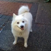 Danny Ng's photo