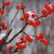 Barbara Egan's photo