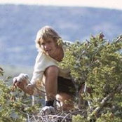 Steve Chindgren's photo