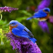 Marsha Williams's photo