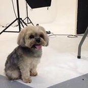 Sinead Walker's photo