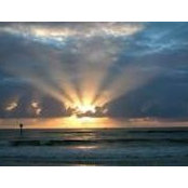Dawn Curtean's photo