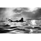 Karin Rushforth's photo
