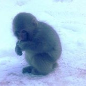 Amanda McKay's photo