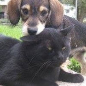 Katrina Brandlin's photo