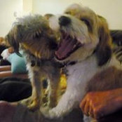 Foto von Renae Hutchison