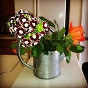 Tiffany Schader's photo