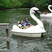 Denise Michel Bentley's photo