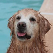 Vera Wuerfel's photo