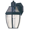 South Park 1-Light Outdoor Wall Lantern, Black, Clear