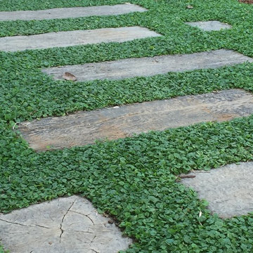 Little Village Early Learning - used our unique Plant Tiles of Dichondra repens