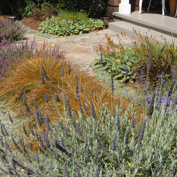 Mill Valley Garden after 1 year lawn replacement