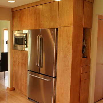 Mendota Heights Modern