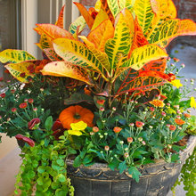 Decor for all seasons