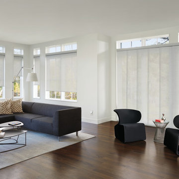 Transitional White Living Room Custom Window Screen Shades by Hunter Douglas