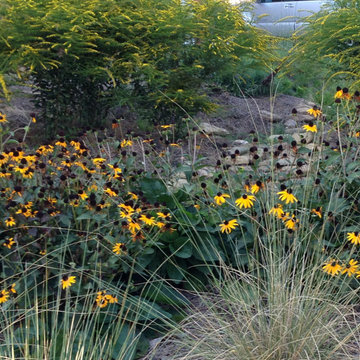 Perennial Planting